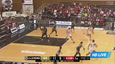 Poster siaran Shinshu Brave Warriors VS Nagoya Diamond Dolphins